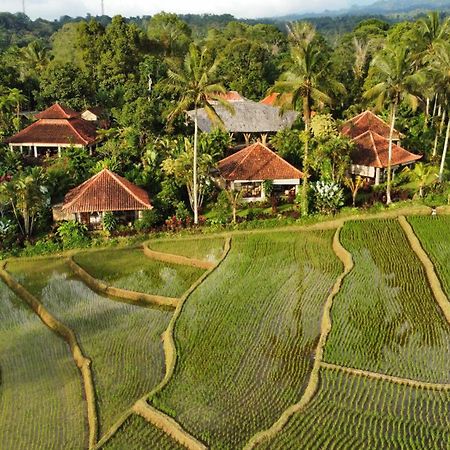 Sava Eco Retreat Hotel Padangan  Exterior photo