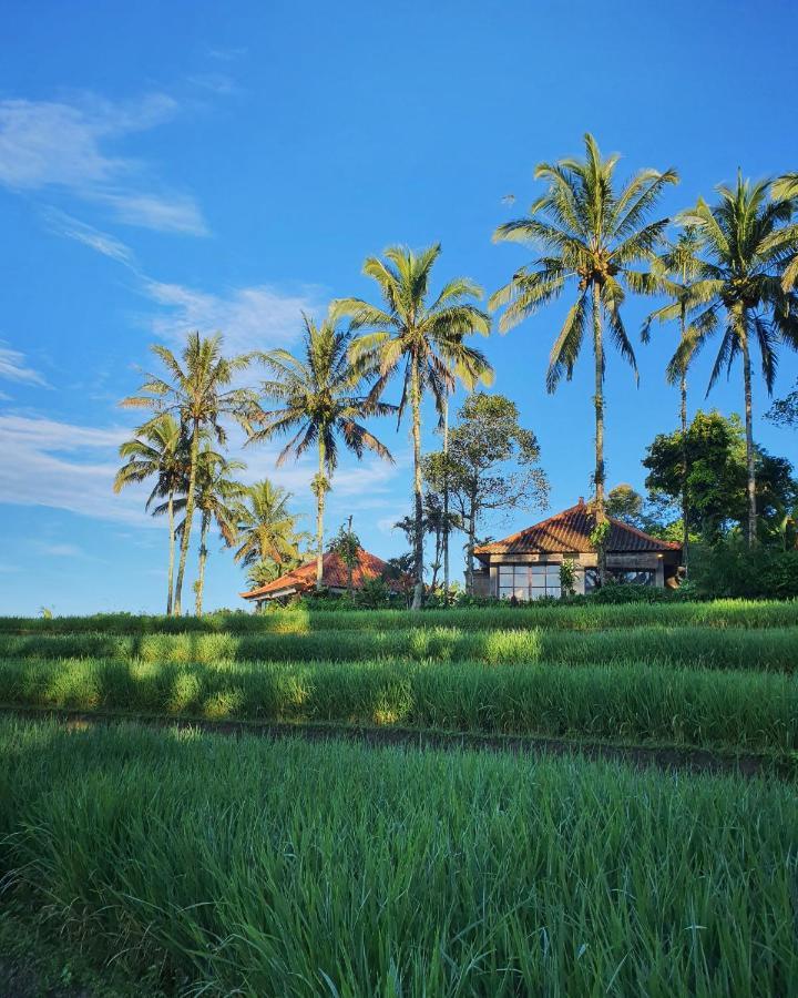 Sava Eco Retreat Hotel Padangan  Exterior photo